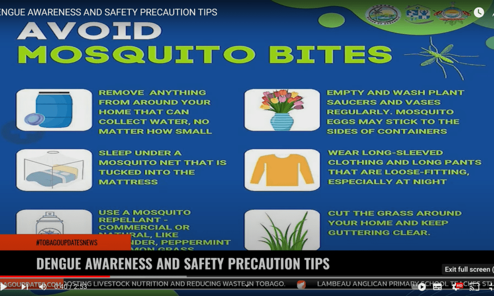 Dengue awareness and safety precaution tips | Tobago Updates